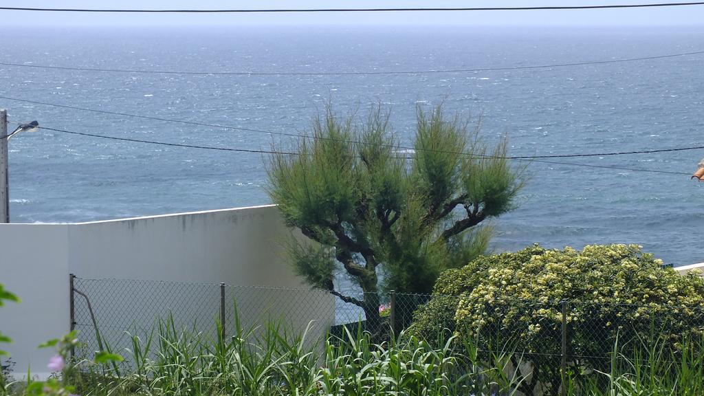 Santa Cruz ocean studio Zewnętrze zdjęcie